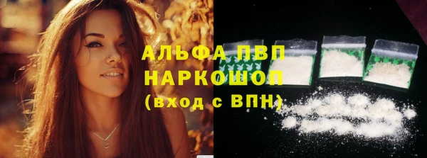 крисы Бронницы