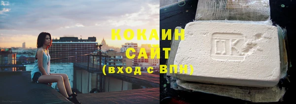 крисы Бронницы