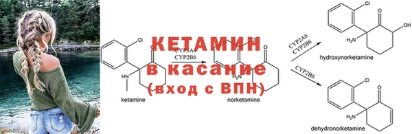 крисы Бронницы