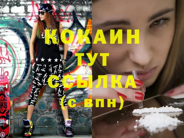 крисы Бронницы