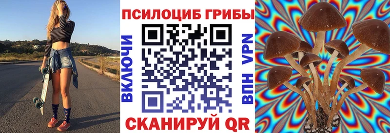 Псилоцибиновые грибы ЛСД  как найти наркотики  shop Telegram  Ермолино 